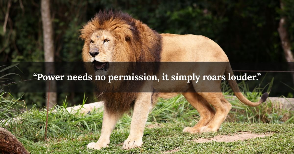 Best Lion Quotes