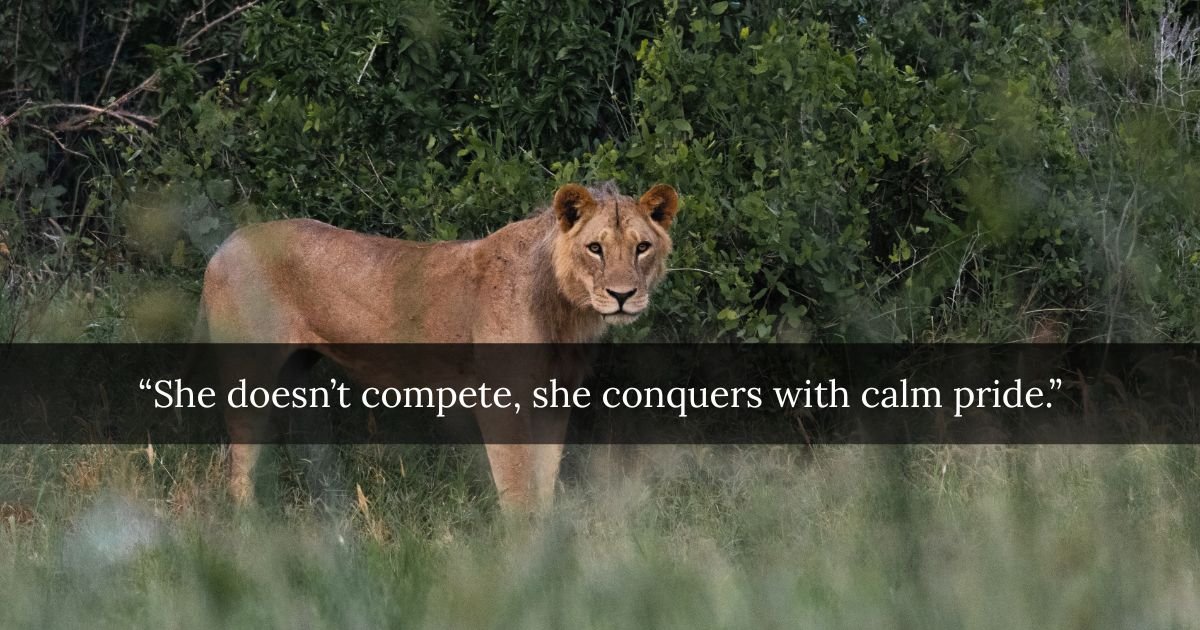Female Lion Quotes