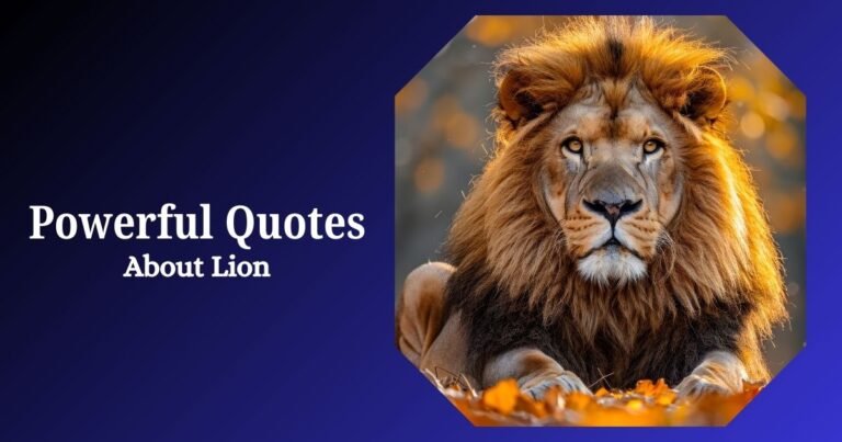 Powerful Lion Quotes