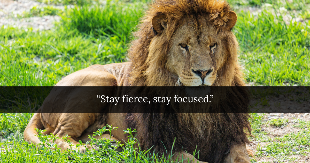 Super Lion Quotes
