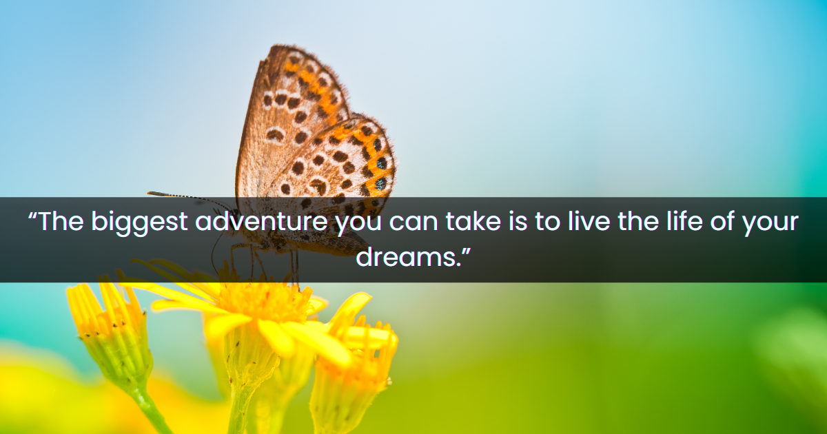 Beautiful Butterfly Quotes
