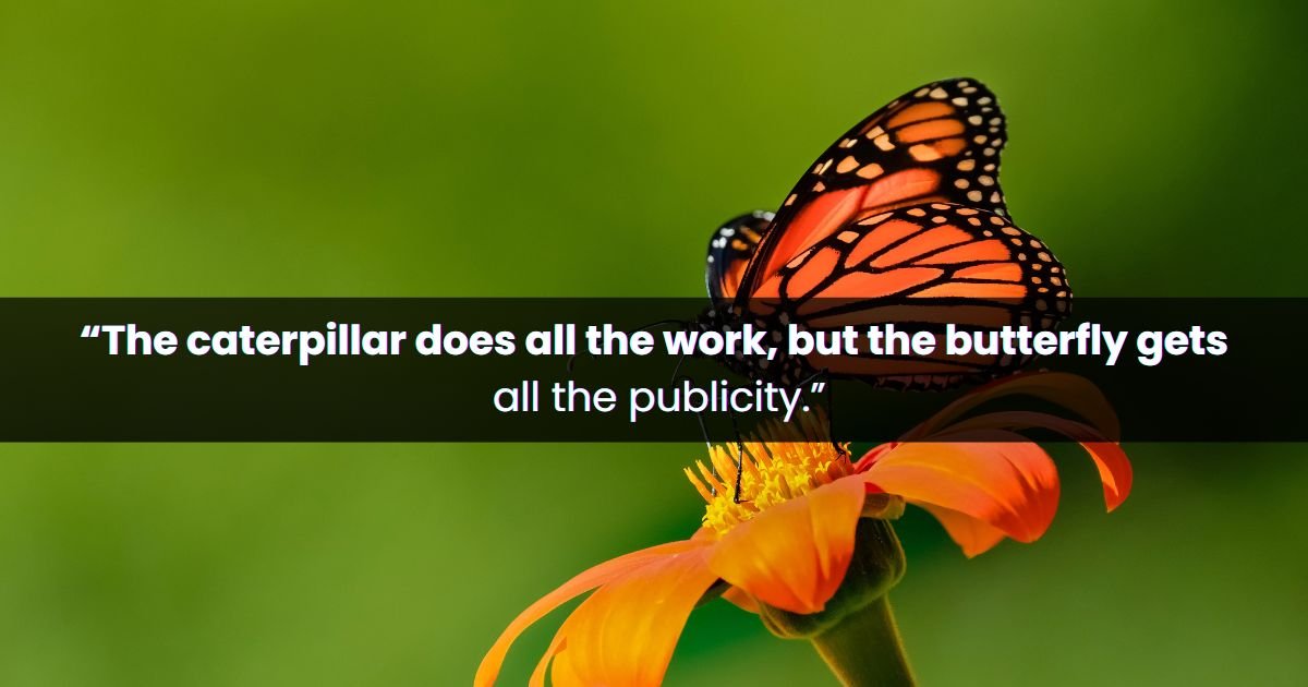 Best Butterfly Quotes
