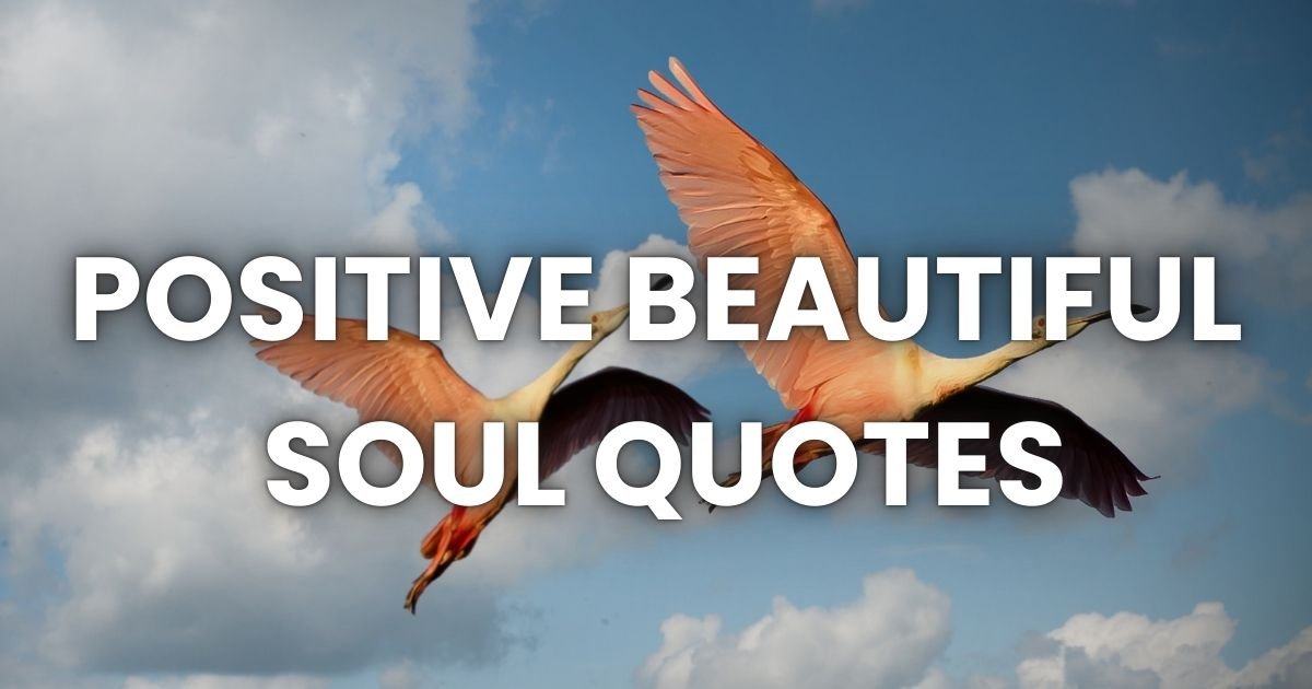 Positive Beautiful Soul Quotes