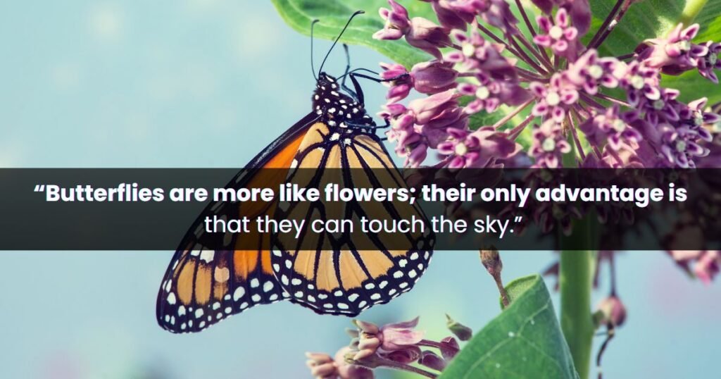 Powerful Butterfly Quotes