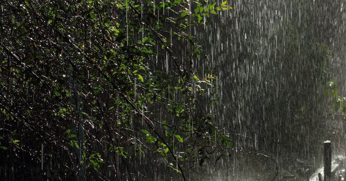 Top Rain Quotes