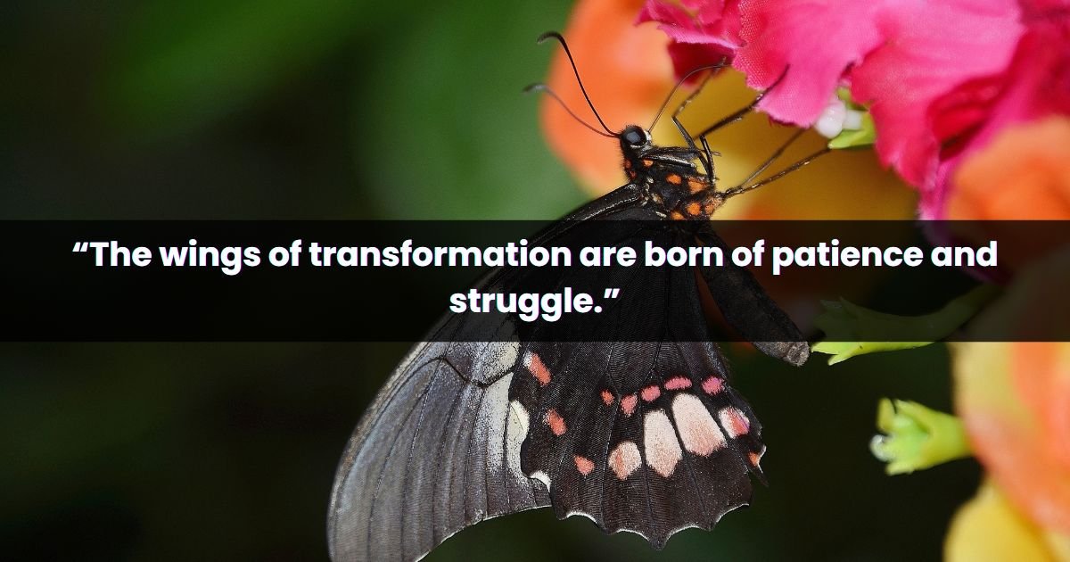 Unique Butterfly Quotes