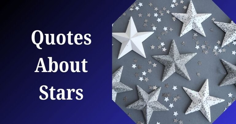 Quotes About Stars