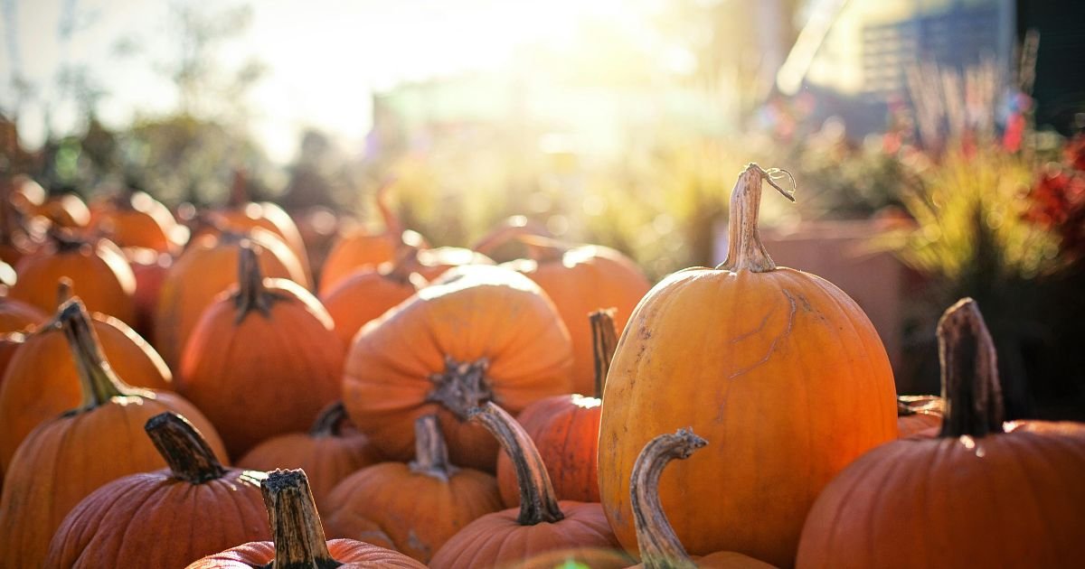 Short October Quotes
