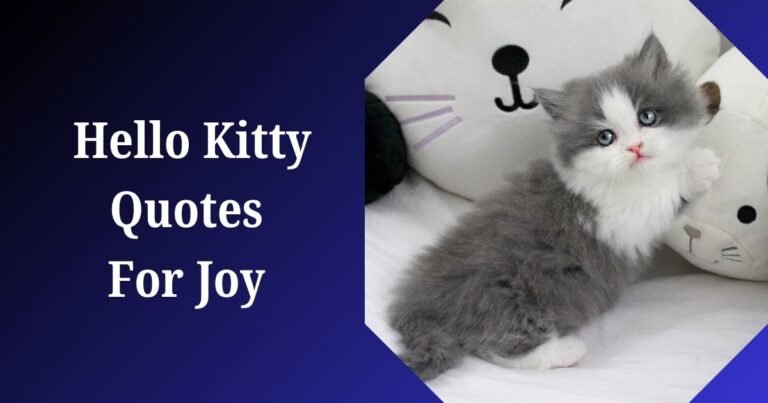 Kitty quotes